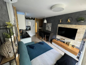 Apartment Astra with Private parking